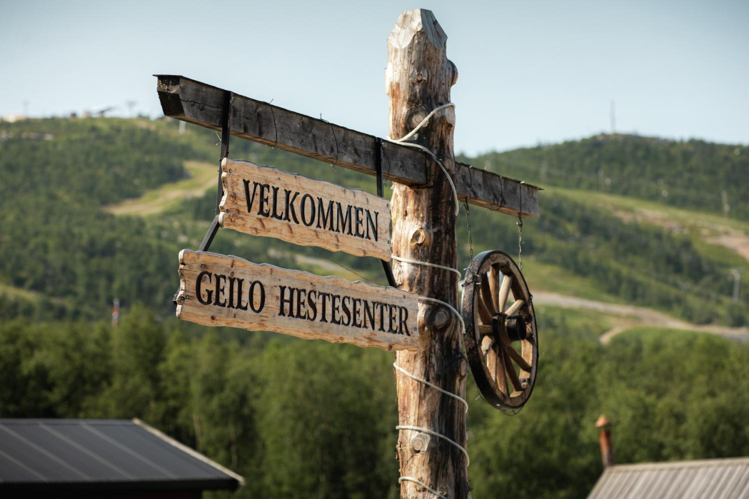 Nice Apartment On Geilotunet, Close To City Center Exteriör bild